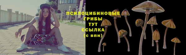 винт Армянск